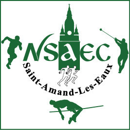 Logo NSAEC