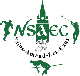 Logo NSAEC
